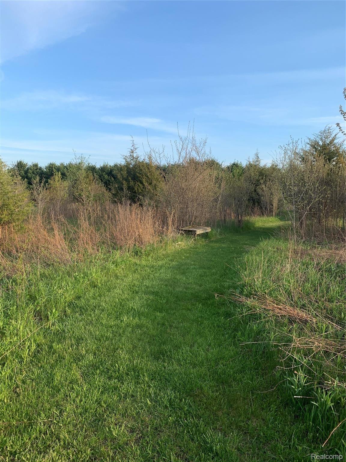 2683 Carleton West Road Carleton, MI 48117 - Photo 15 of 87 DE888835-ABA8-4EF1-A9A4-D03CA1FB6297.jpeg
