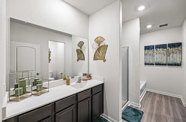 a bathroom with a sink mirror and vanity