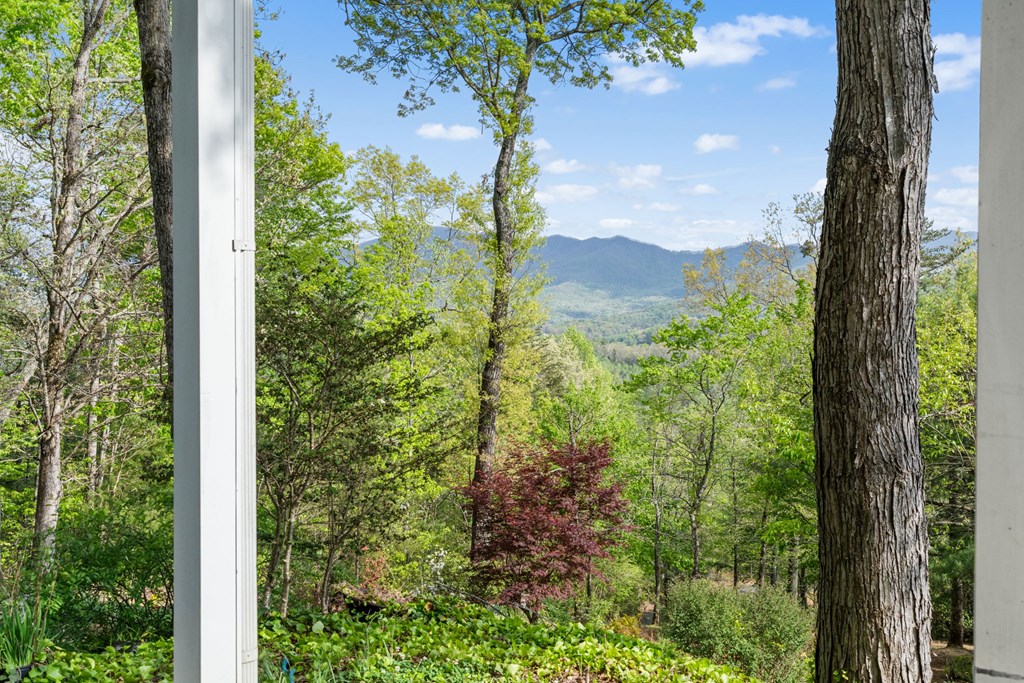 619 Pounding Mill Loop Hayesville, NC 28904 - Photo 15 of 54