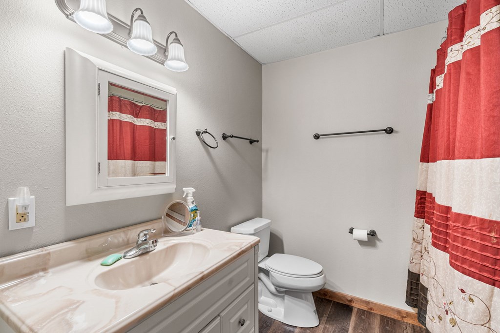 619 Pounding Mill Loop Hayesville, NC 28904 - Photo 53 of 54 a bathroom with a granite countertop toilet sink and mirror