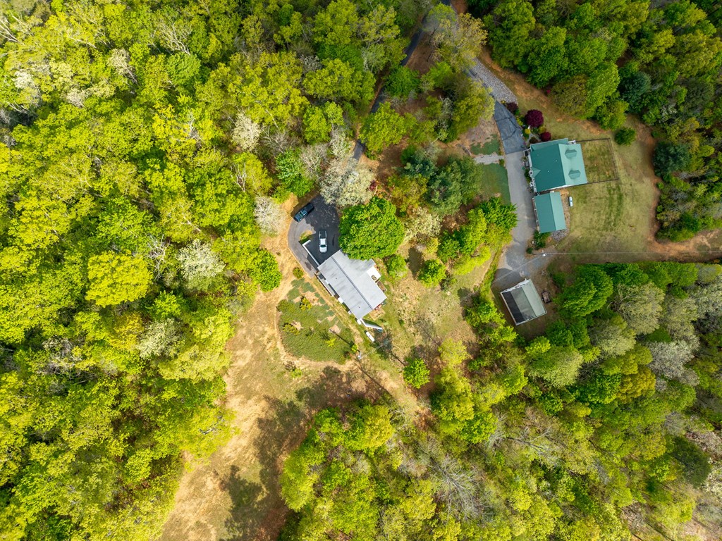619 Pounding Mill Loop Hayesville, NC 28904 - Photo 8 of 54 a backyard of a house with large trees