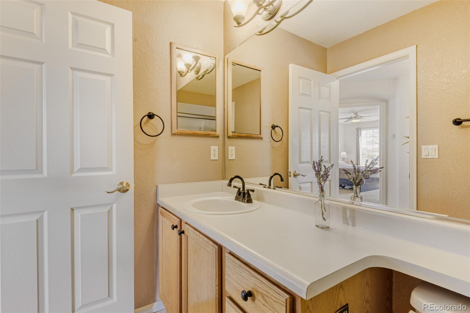 9649 Adelaide Circle Highlands Ranch, CO 80130 - Photo 14 of 32 a bathroom with a sink and a mirror