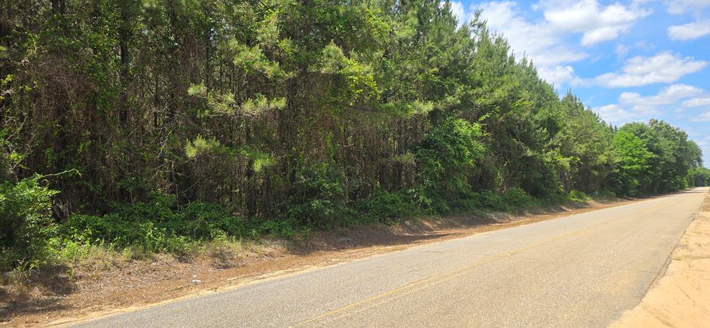 10 Mt Zion Road Gordon, AL 36343 - Photo 15 of 28