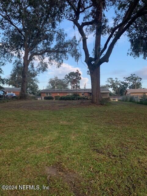 10558 Tulsa Road Jacksonville, FL 32218 - Photo 23 of 24 a view of a large tree next to a yard