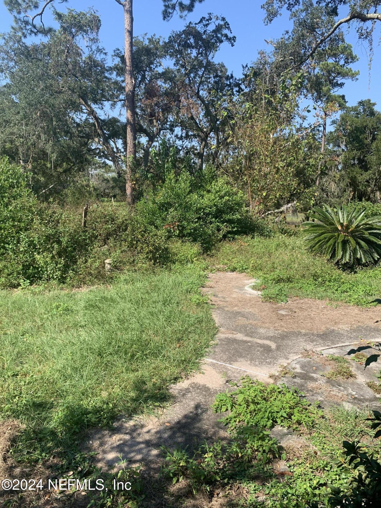 10558 Tulsa Road Jacksonville, FL 32218 - Photo 3 of 24 a view of a yard with plants and large trees