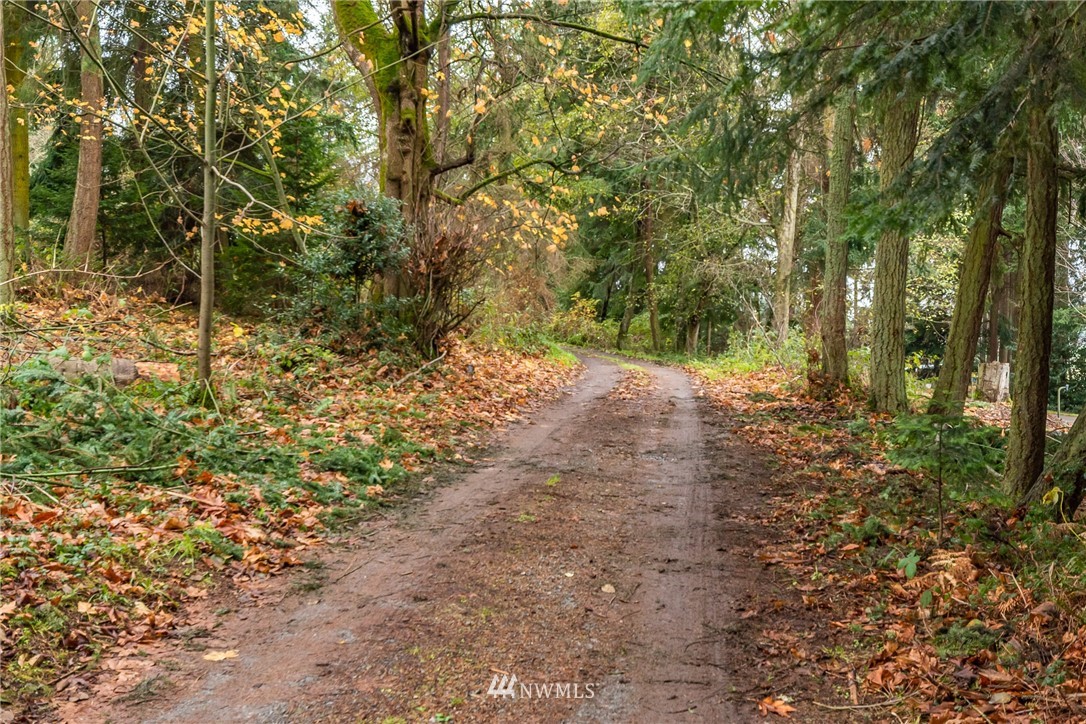 5720 Cameron Road Freeland, WA 98249 - Photo 2 of 36 a view of backyard with green space