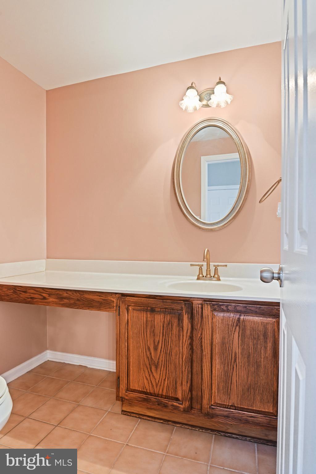 21174 Wildflower Square Ashburn, VA 20147 - Photo 24 of 30 a bathroom with a sink and a mirror