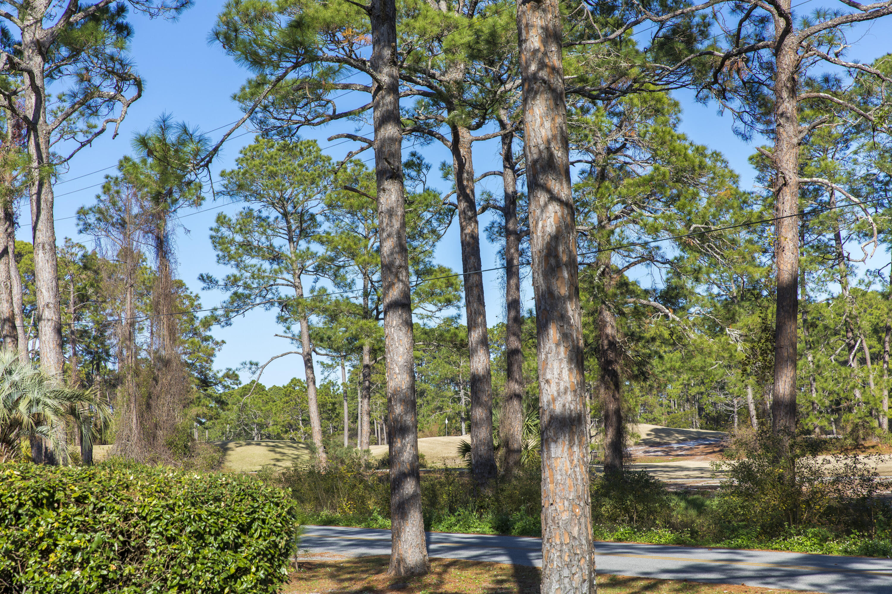 125 Hillcrest Road Santa Rosa Beach, FL 32459 - Photo 33 of 33 tranquil-seas-034