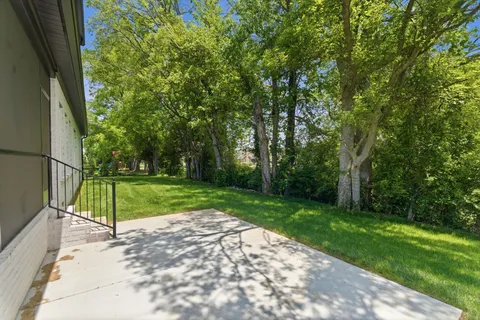 a view of a park with large trees