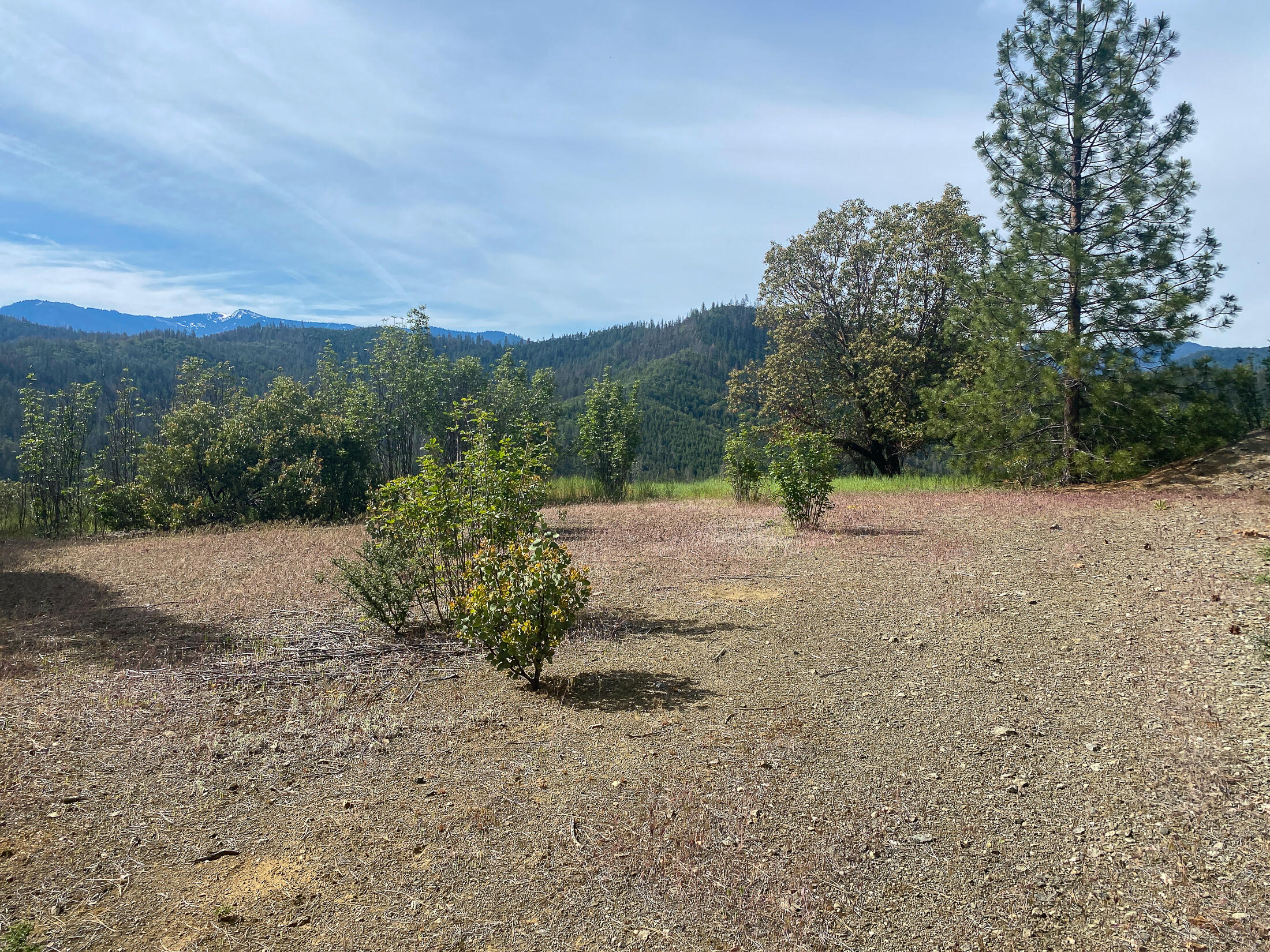 7696 Little Applegate Road Jacksonville, OR 97530 - Photo 21 of 22 020A