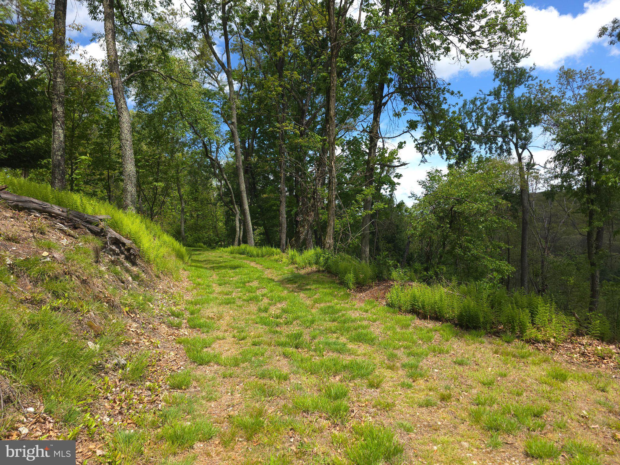 152 Sharp Ridge Lane Franklin, WV 26807 - Photo 50 of 53 a backyard of a house with lots of green space