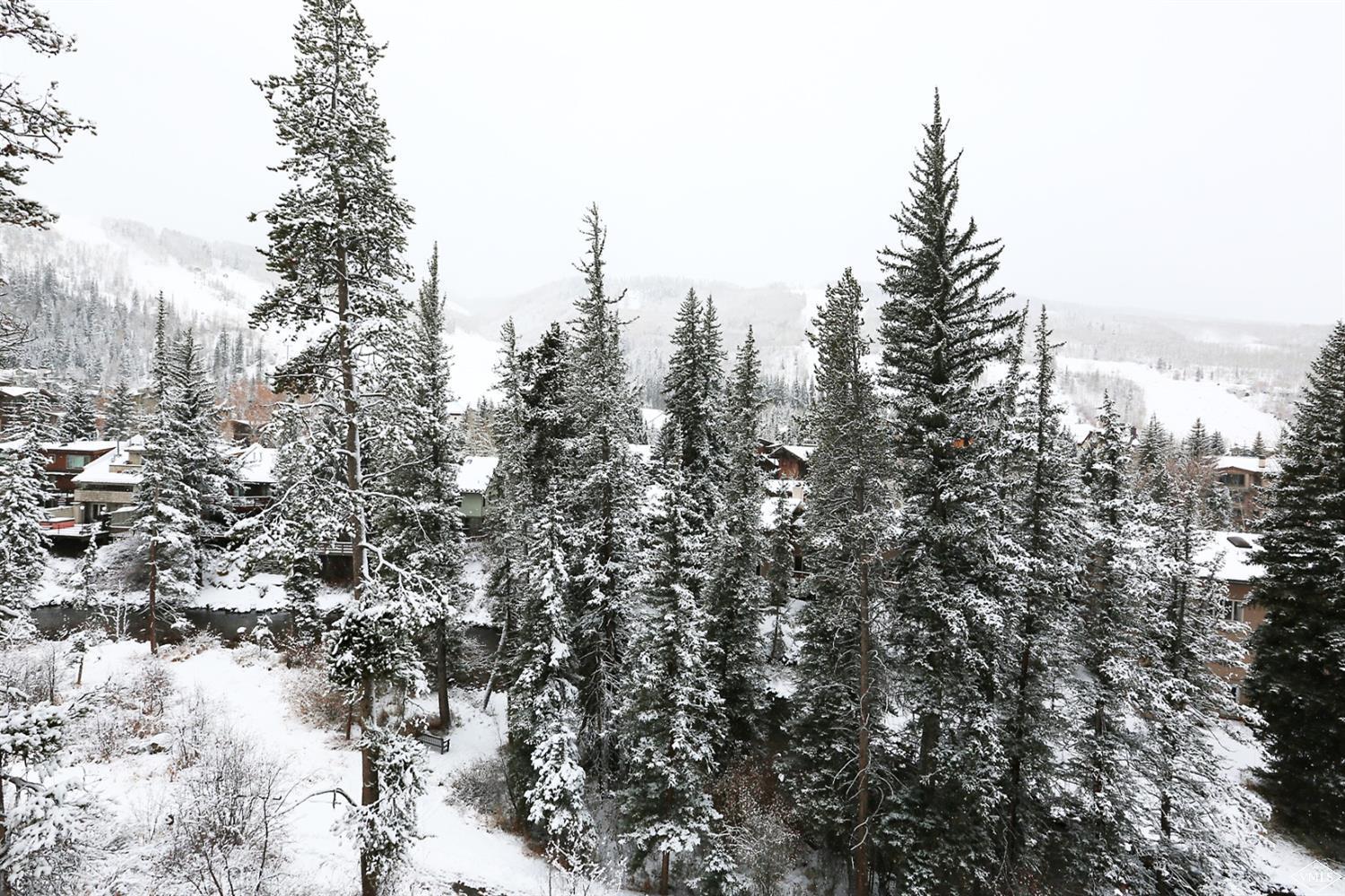 442 South Frontage Road East, Unit B306 Vail, CO 81657 - Photo 17 of 18 a view of a city with lush green forest