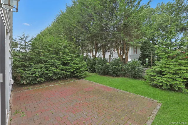 a view of a field with plants and trees
