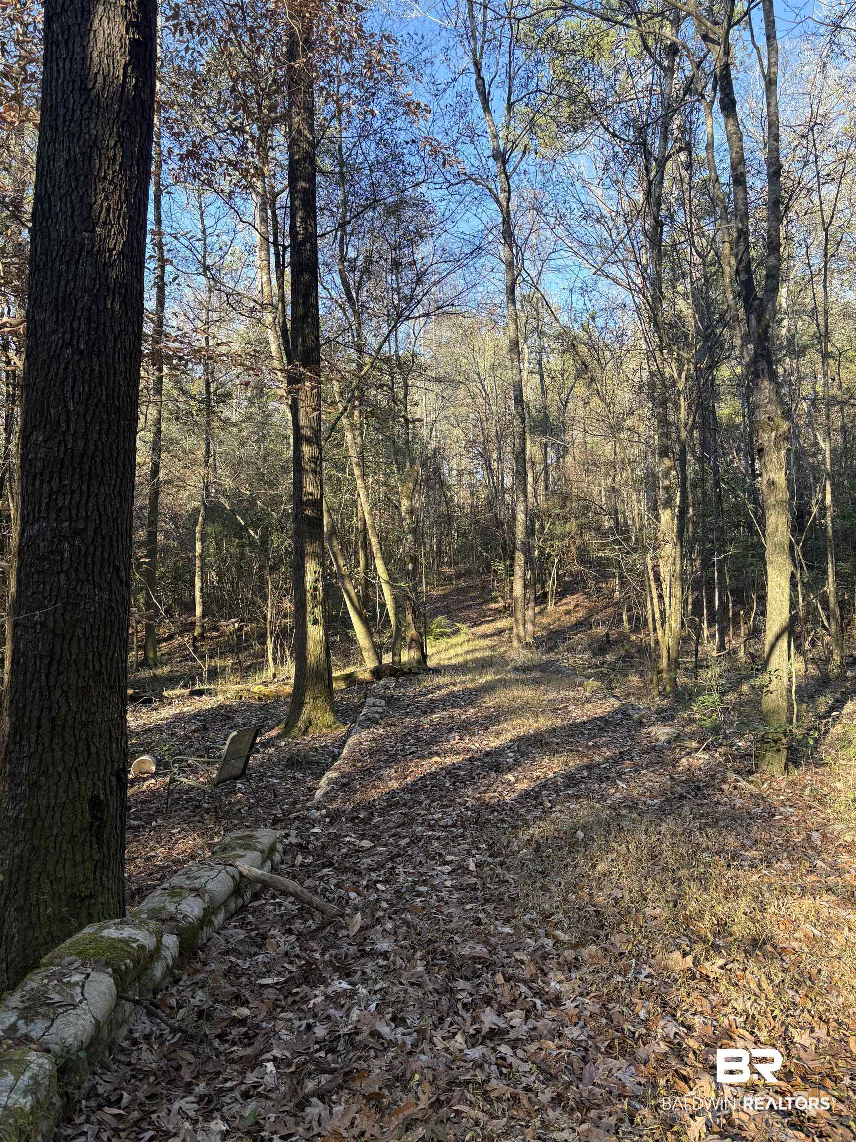 756 Ted Bates Road Evergreen, AL 36401 - Photo 18 of 28 View of local wilderness