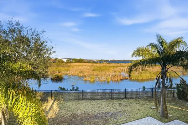 a view of a lake and palm trees