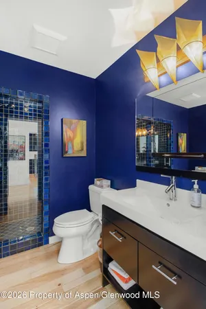 a bathroom with a sink a toilet a mirror and vanity