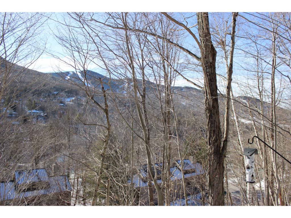 17 Granite Road, Unit 2 Lincoln, NH 03251 - Photo 25 of 28