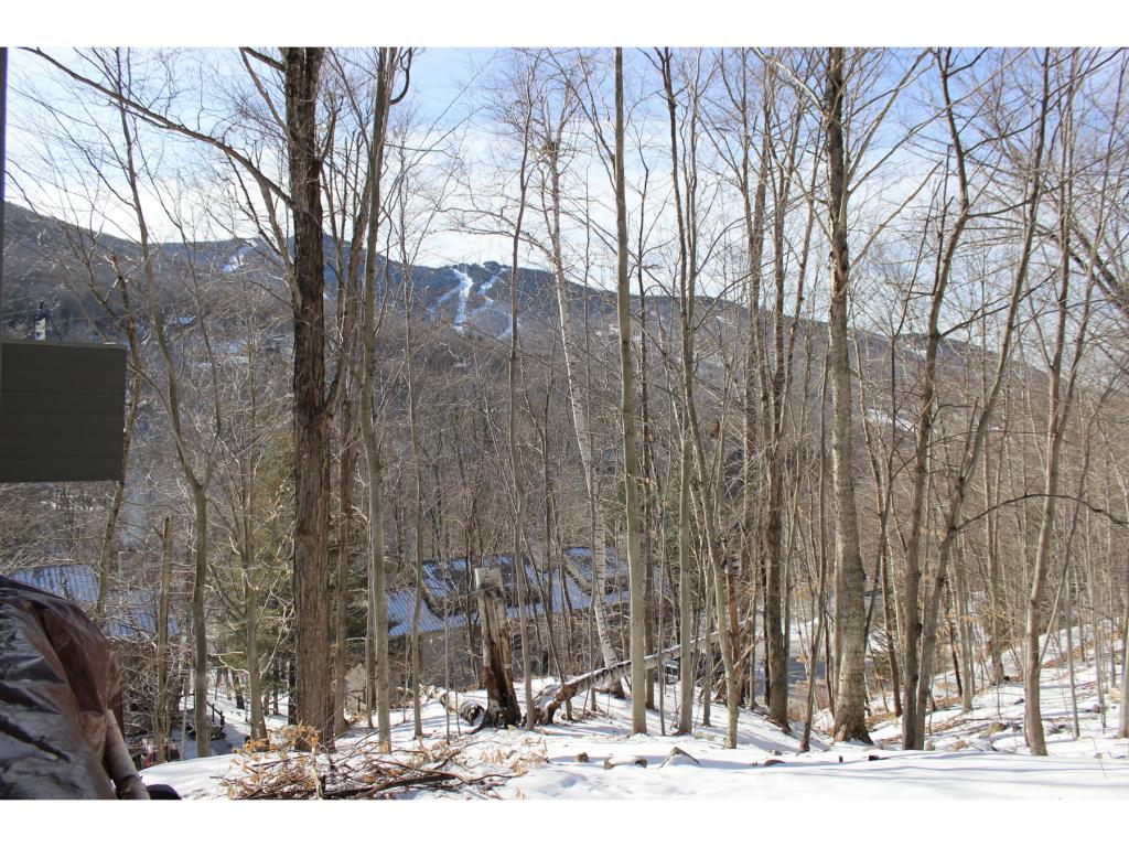 17 Granite Road, Unit 2 Lincoln, NH 03251 - Photo 28 of 28