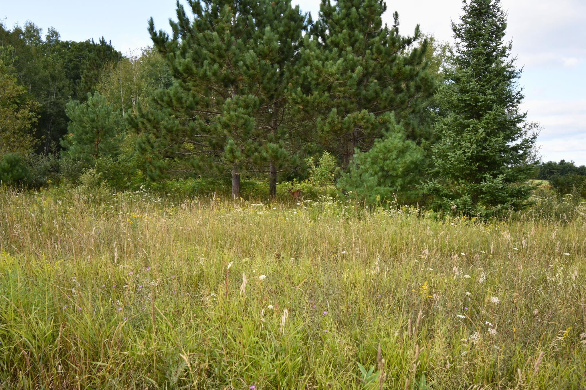 4190 Ford Road Glennie, MI 48737 - Photo 29 of 45