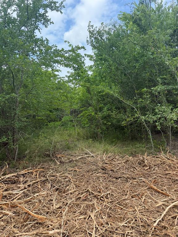 Tbd McKnight Road Ferris, TX 75125 - Photo 6 of 26