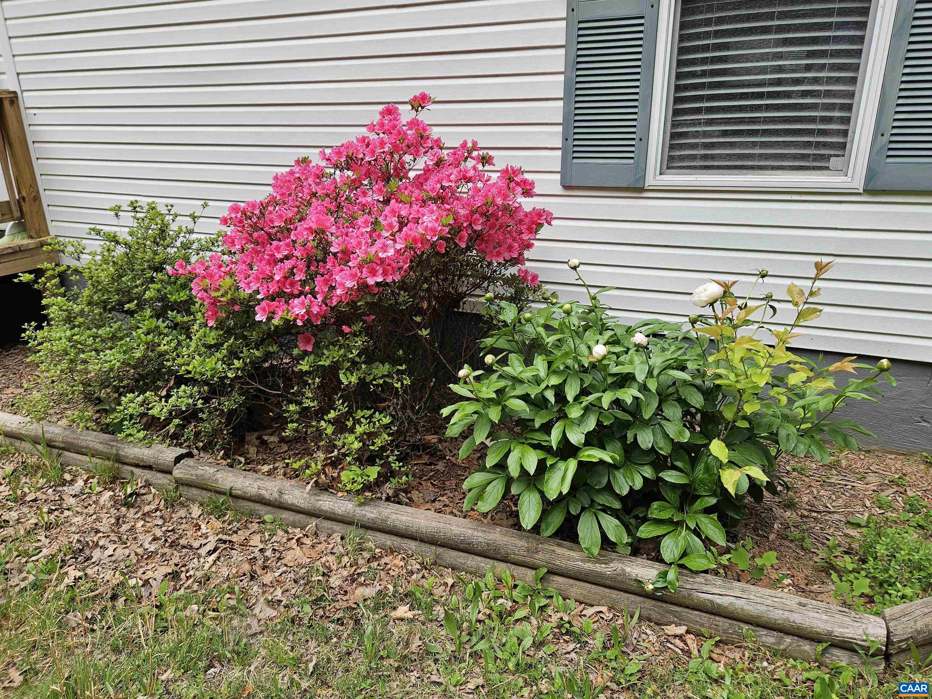 981 Scotts Bottom Road Dillwyn, VA 23936 - Photo 3 of 62 a small garden covered with flower