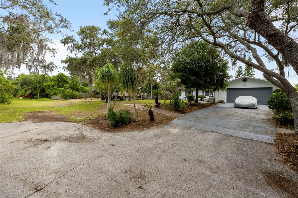 818 Eunice Drive Tarpon Springs, FL 34689 - Photo 4 of 59 a view of a trees with a yard