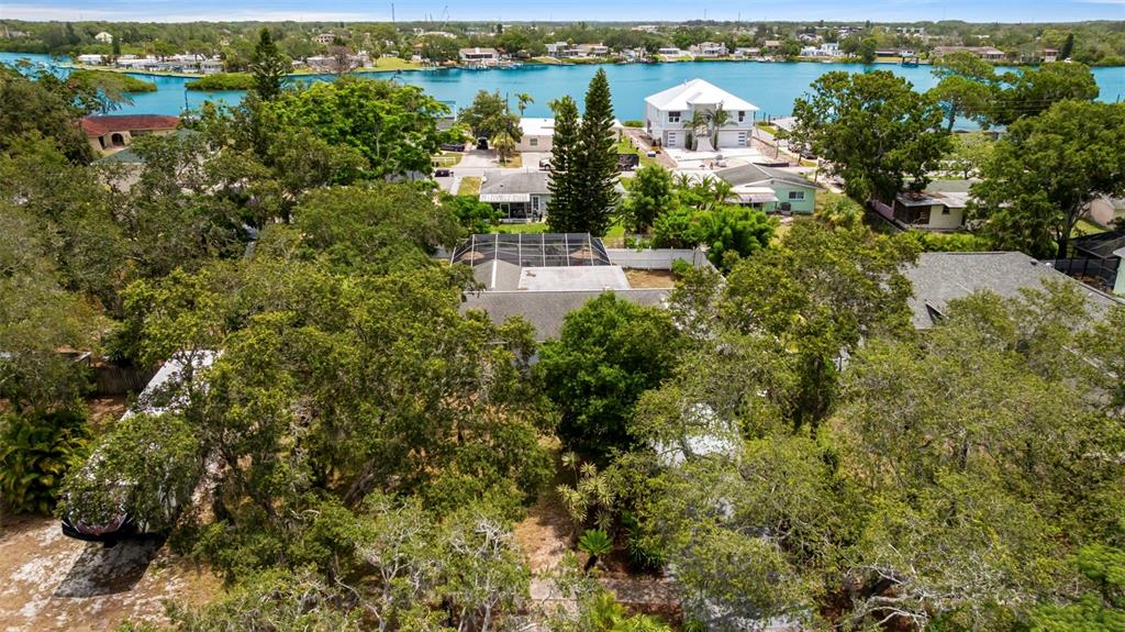 818 Eunice Drive Tarpon Springs, FL 34689 - Photo 42 of 59 an aerial view of residential building with outdoor space and trees all around