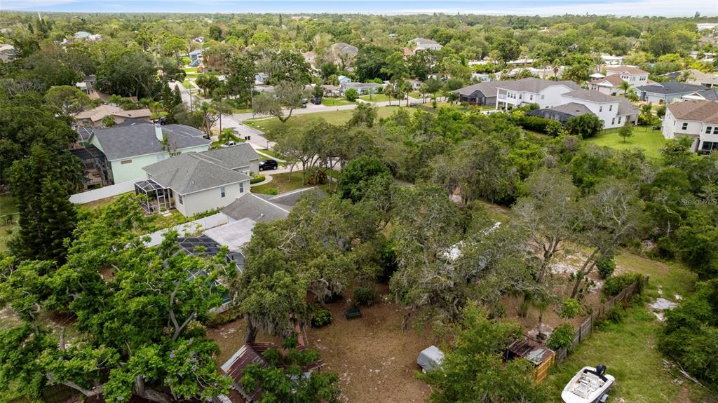 818 Eunice Drive Tarpon Springs, FL 34689 - Photo 45 of 59 an aerial view of residential houses with outdoor space and trees
