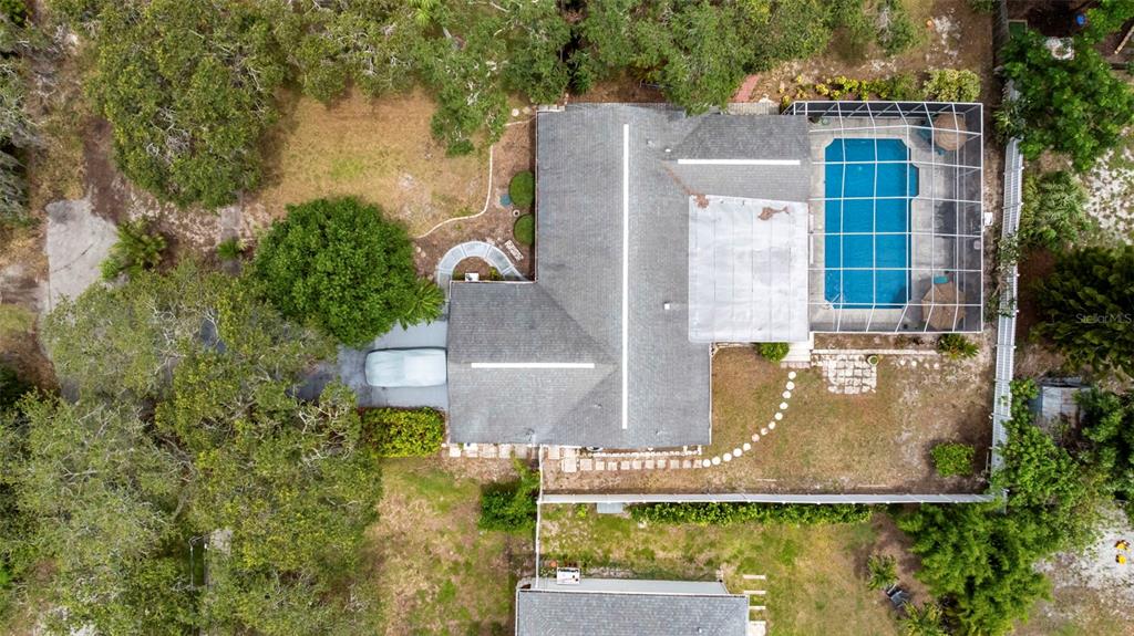 818 Eunice Drive Tarpon Springs, FL 34689 - Photo 50 of 59 aerial view of a house with a yard and large trees