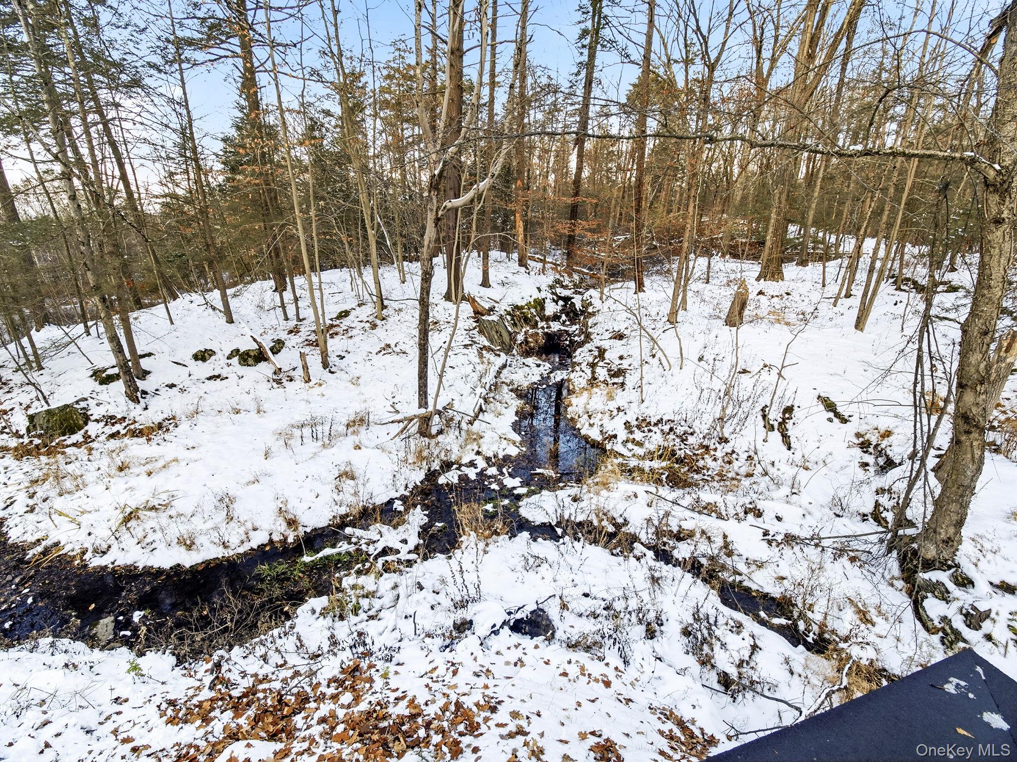 344 Schultz Hill Road Rhinebeck, NY 12572 - Photo 36 of 43 View of snowy yard