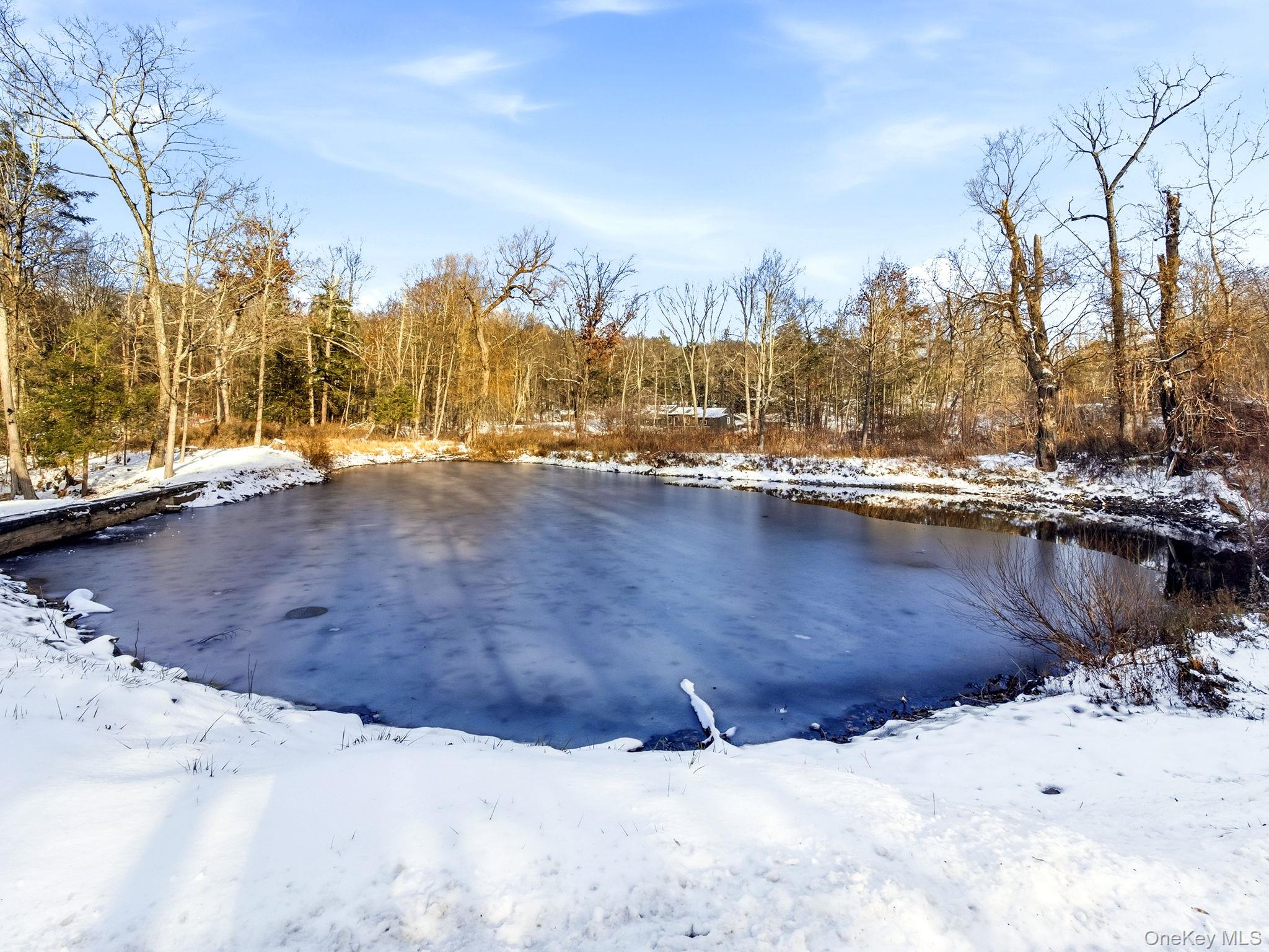 344 Schultz Hill Road Rhinebeck, NY 12572 - Photo 37 of 43