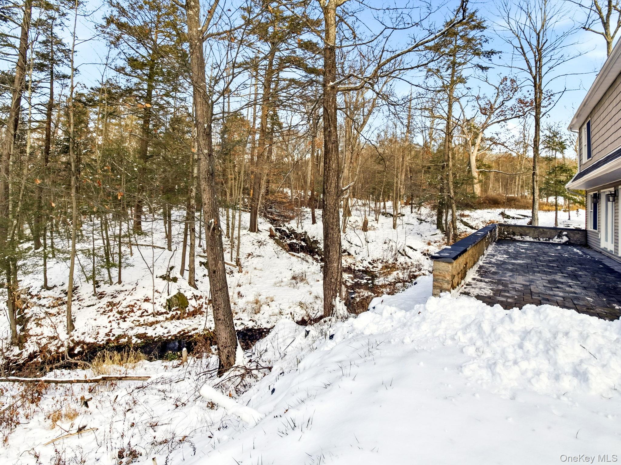 344 Schultz Hill Road Rhinebeck, NY 12572 - Photo 38 of 43 View of yard covered in snow