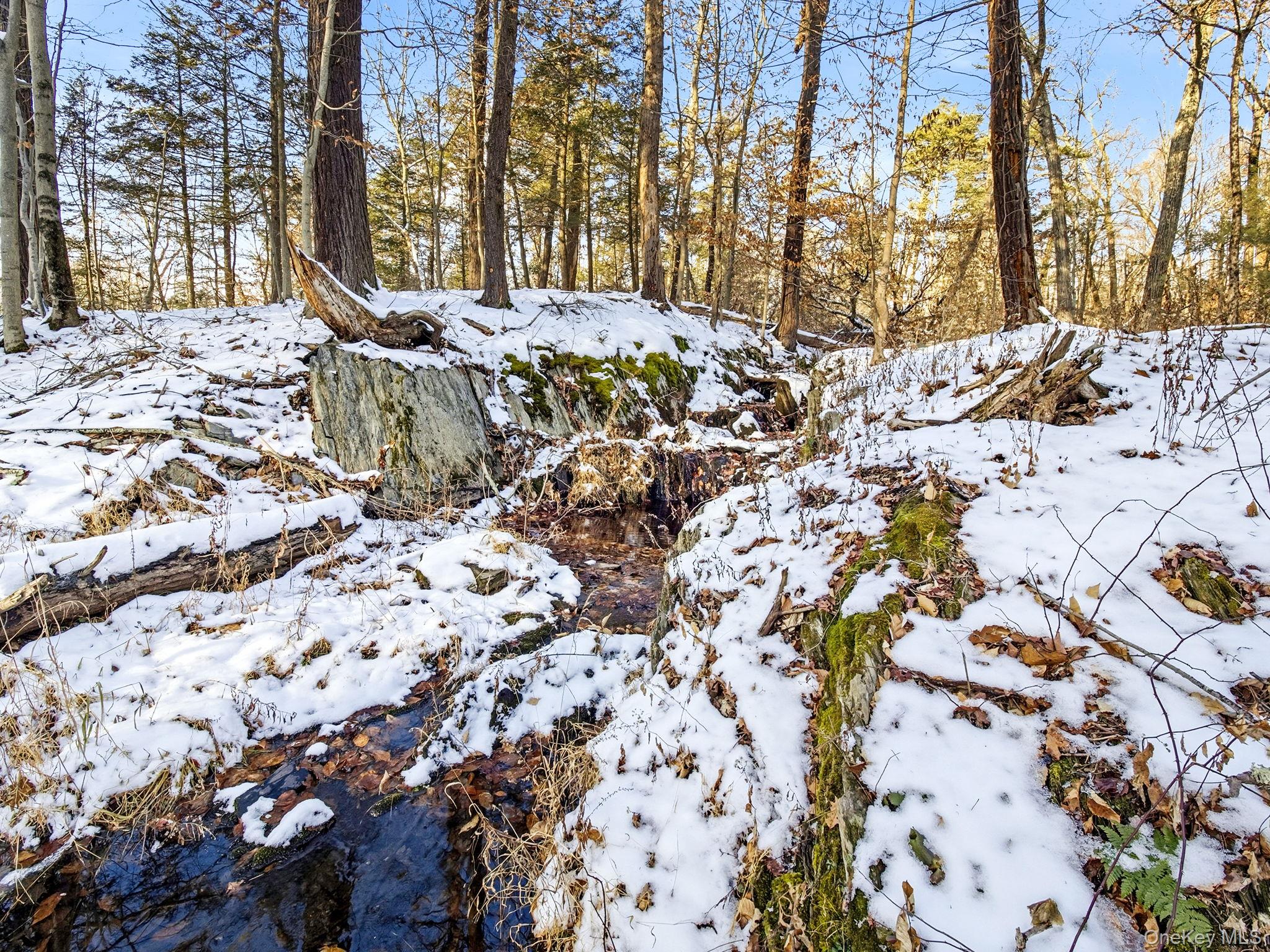 344 Schultz Hill Road Rhinebeck, NY 12572 - Photo 41 of 43 View of snow covered land