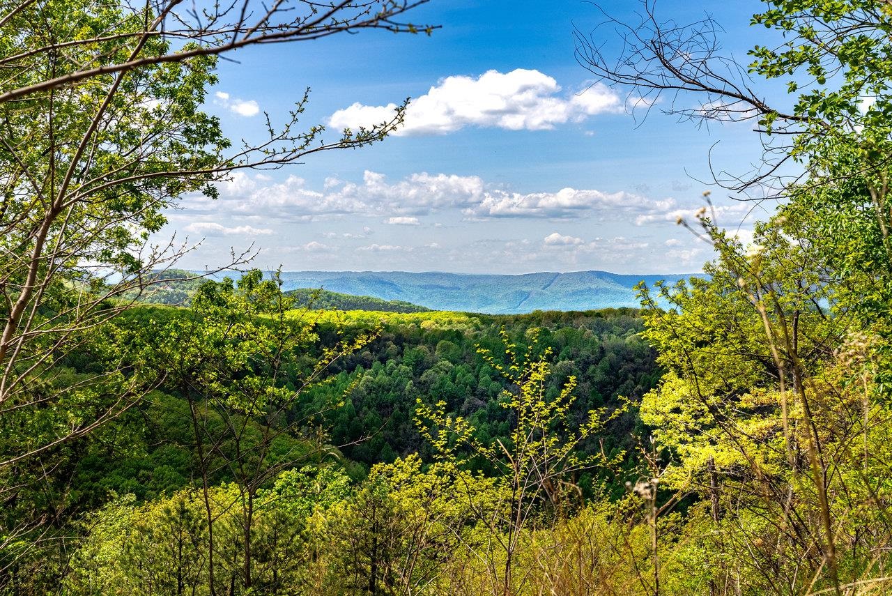 1 Cubbage Hollow Road Stanley, VA 22851 - Photo 16 of 48 Gallery Image 16