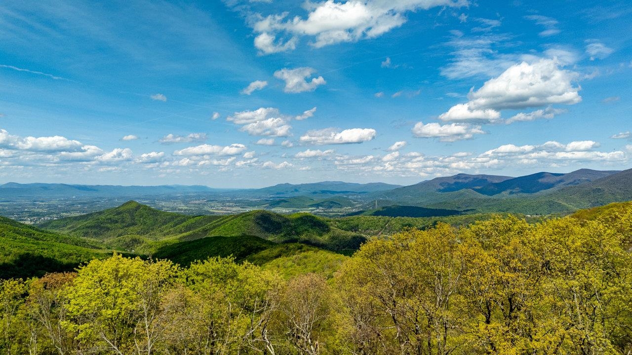 1 Cubbage Hollow Road Stanley, VA 22851 - Photo 27 of 48 Gallery Image 27