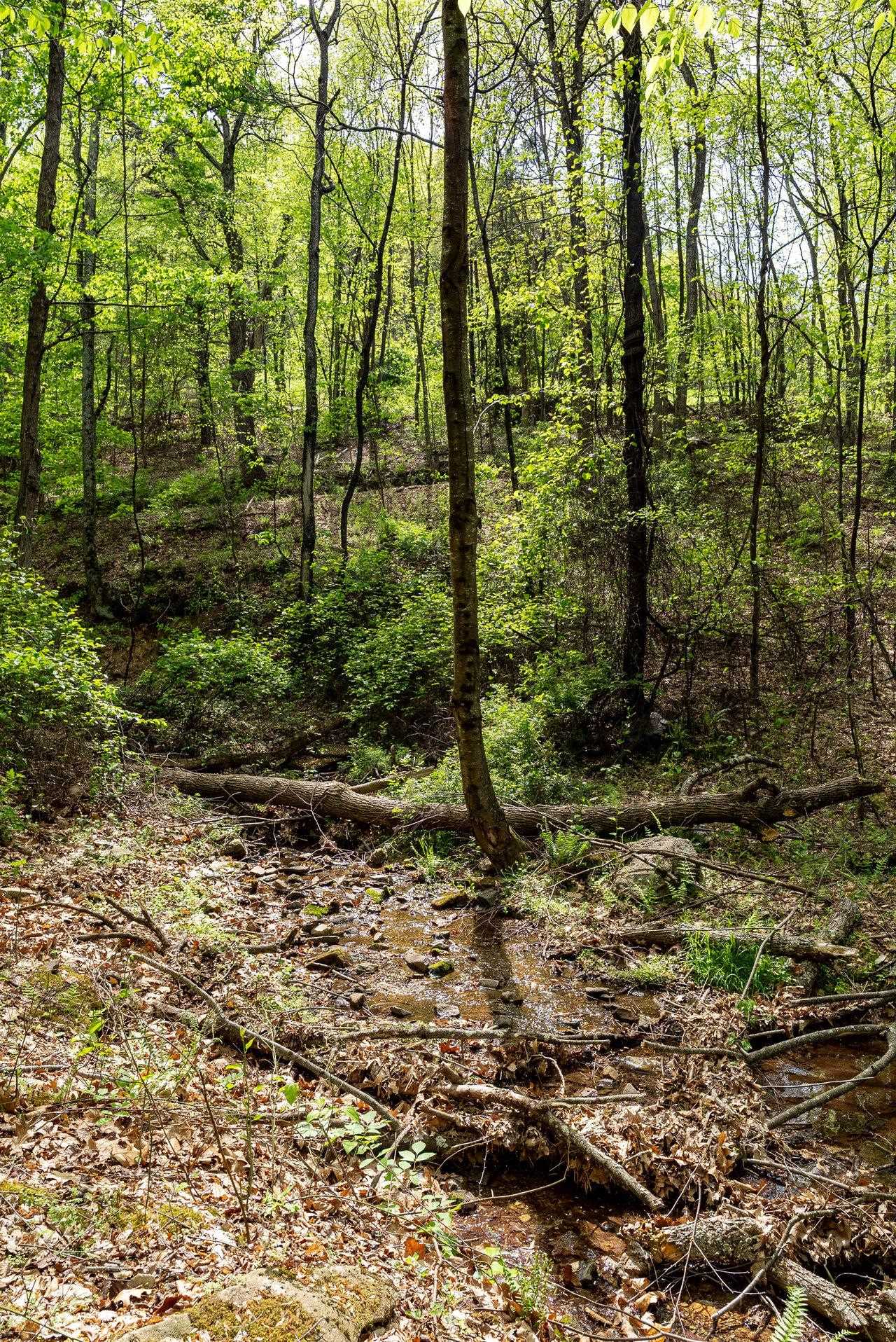1 Cubbage Hollow Road Stanley, VA 22851 - Photo 32 of 48 Gallery Image 32