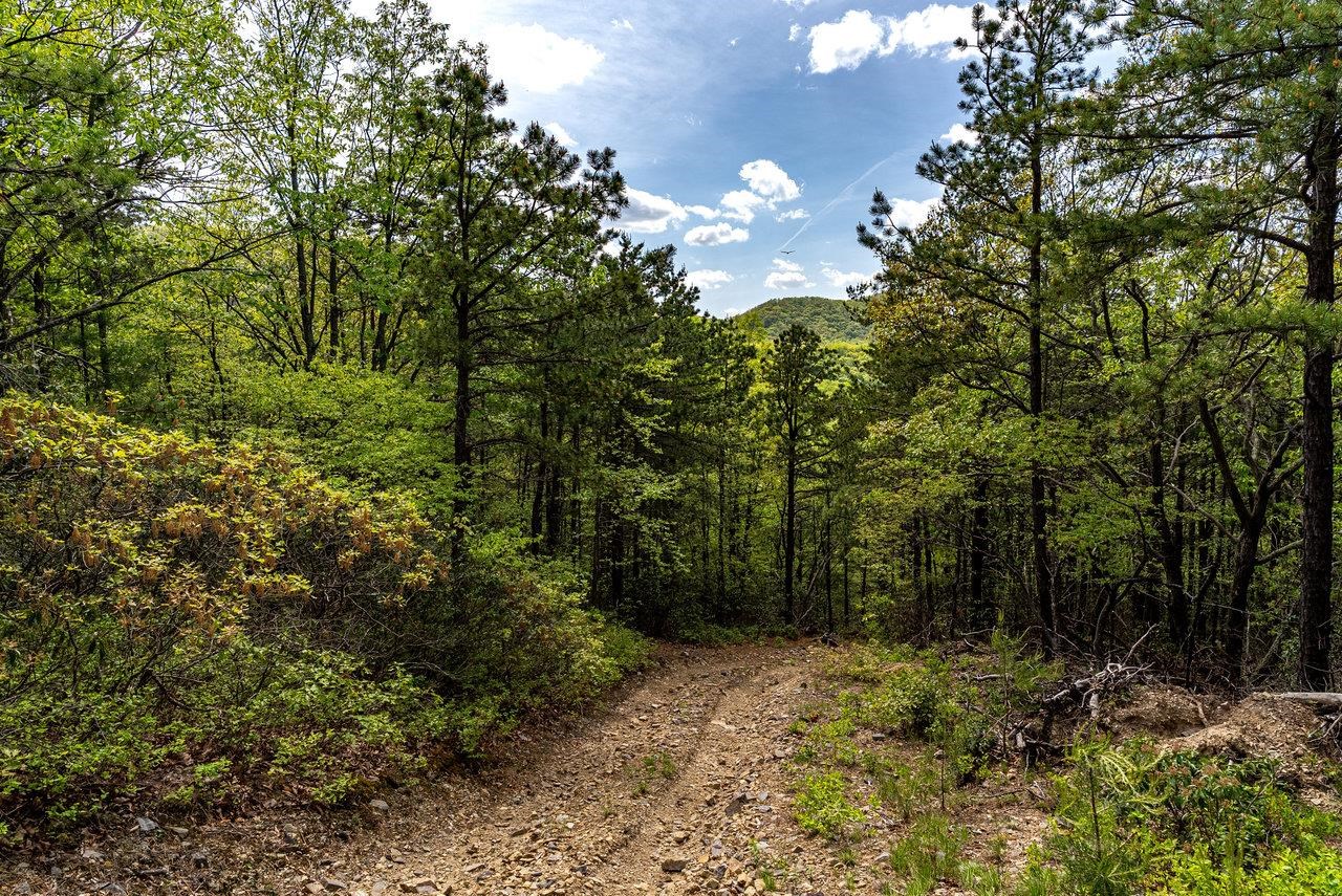 1 Cubbage Hollow Road Stanley, VA 22851 - Photo 33 of 48 Gallery Image 33