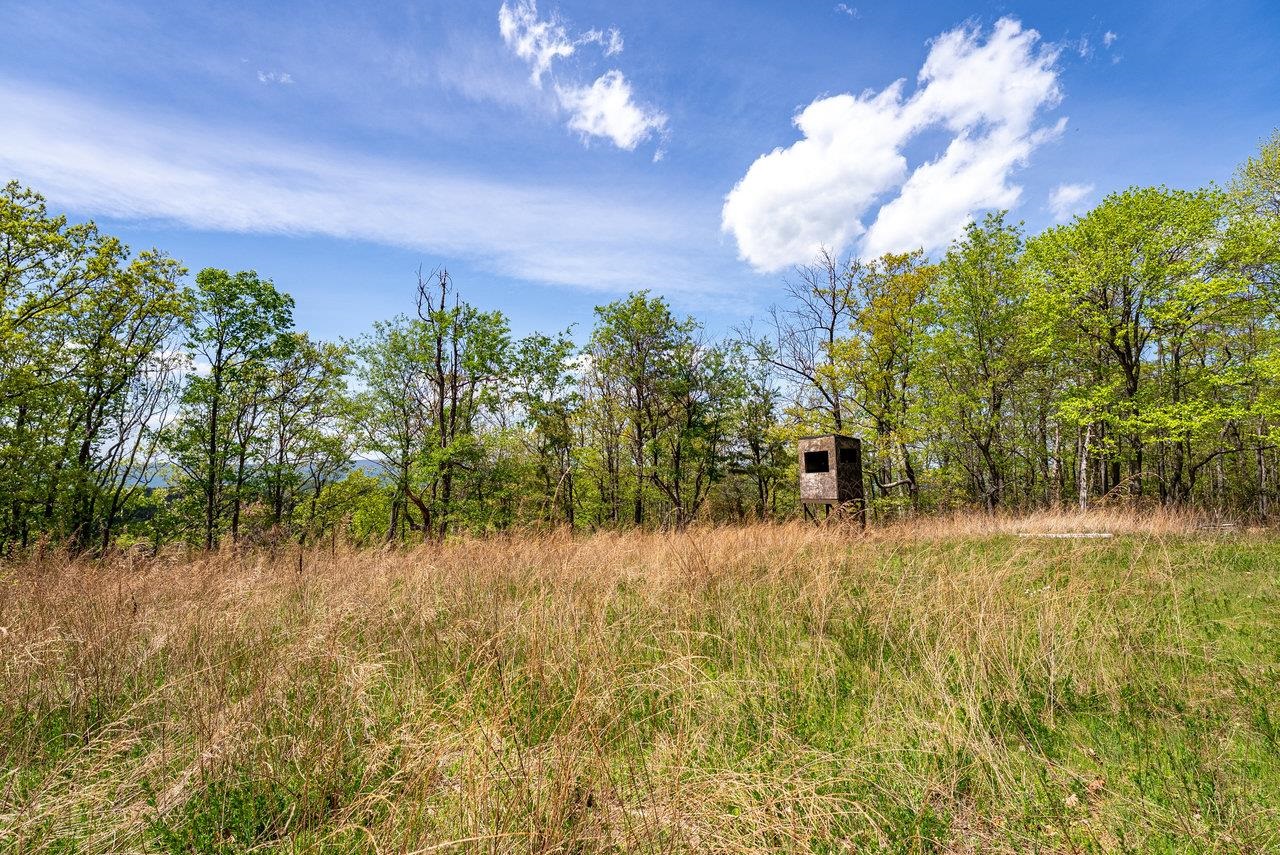 1 Cubbage Hollow Road Stanley, VA 22851 - Photo 40 of 48 Gallery Image 40