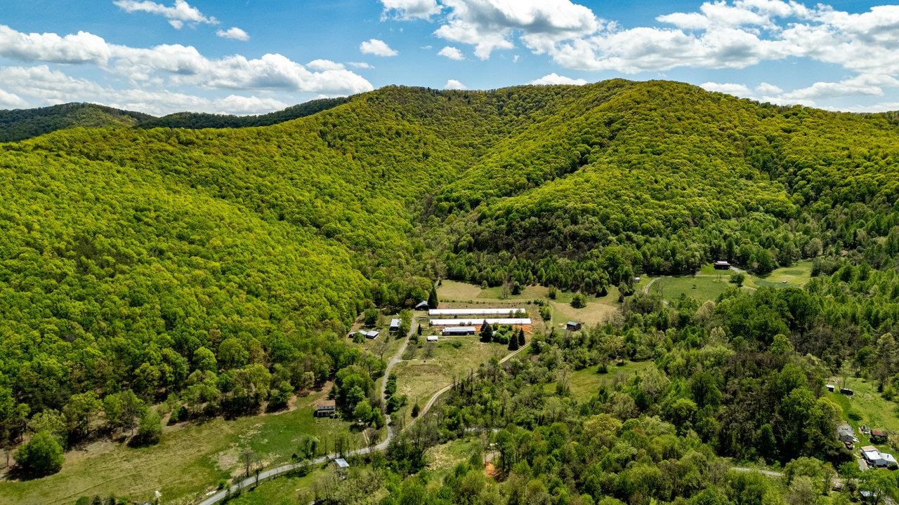 1 Cubbage Hollow Road Stanley, VA 22851 - Photo 4 of 48 Gallery Image 4