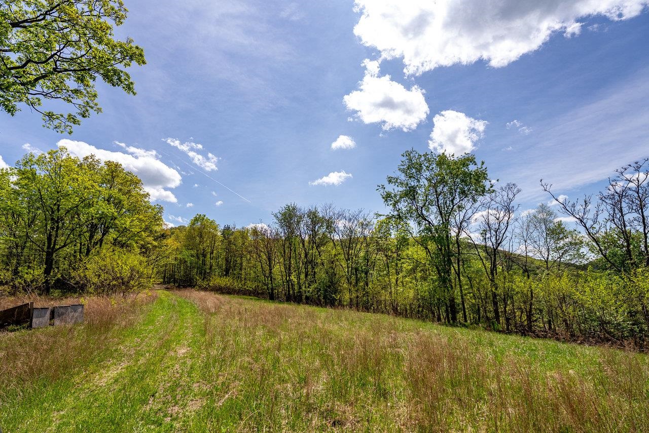 1 Cubbage Hollow Road Stanley, VA 22851 - Photo 41 of 48 Gallery Image 41