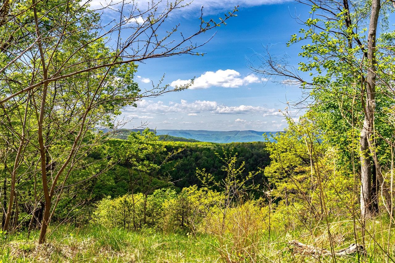 1 Cubbage Hollow Road Stanley, VA 22851 - Photo 42 of 48 Gallery Image 42