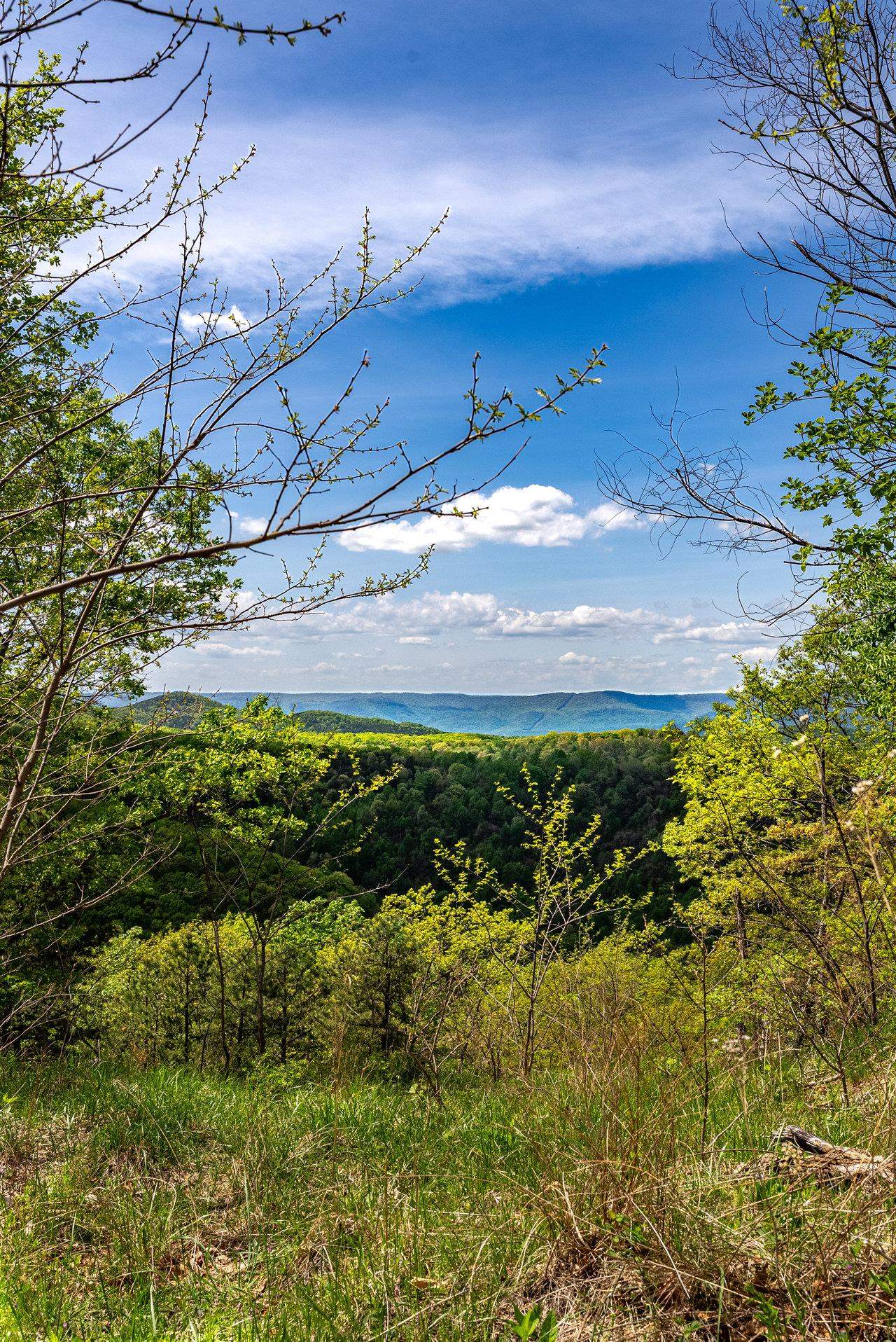 1 Cubbage Hollow Road Stanley, VA 22851 - Photo 43 of 48 Gallery Image 43