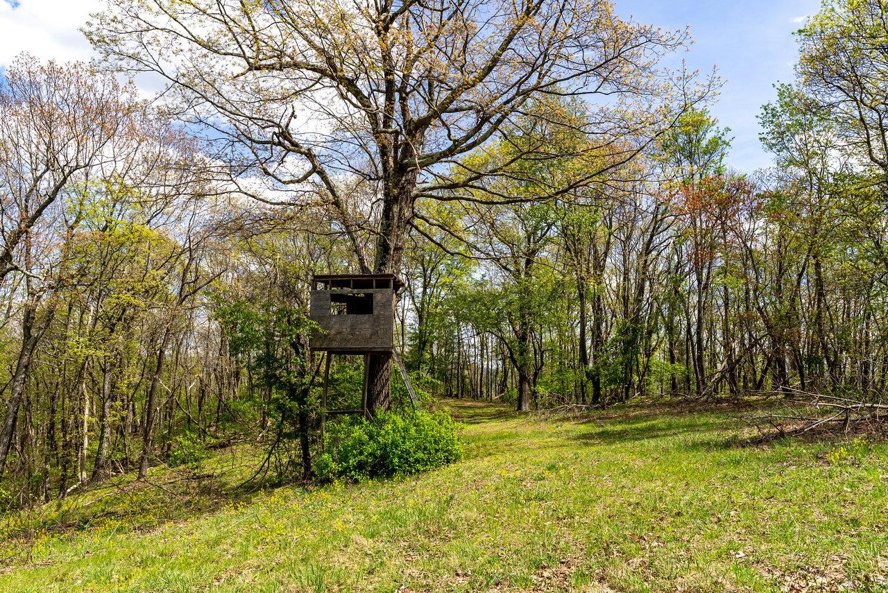 1 Cubbage Hollow Road Stanley, VA 22851 - Photo 44 of 48 Gallery Image 44