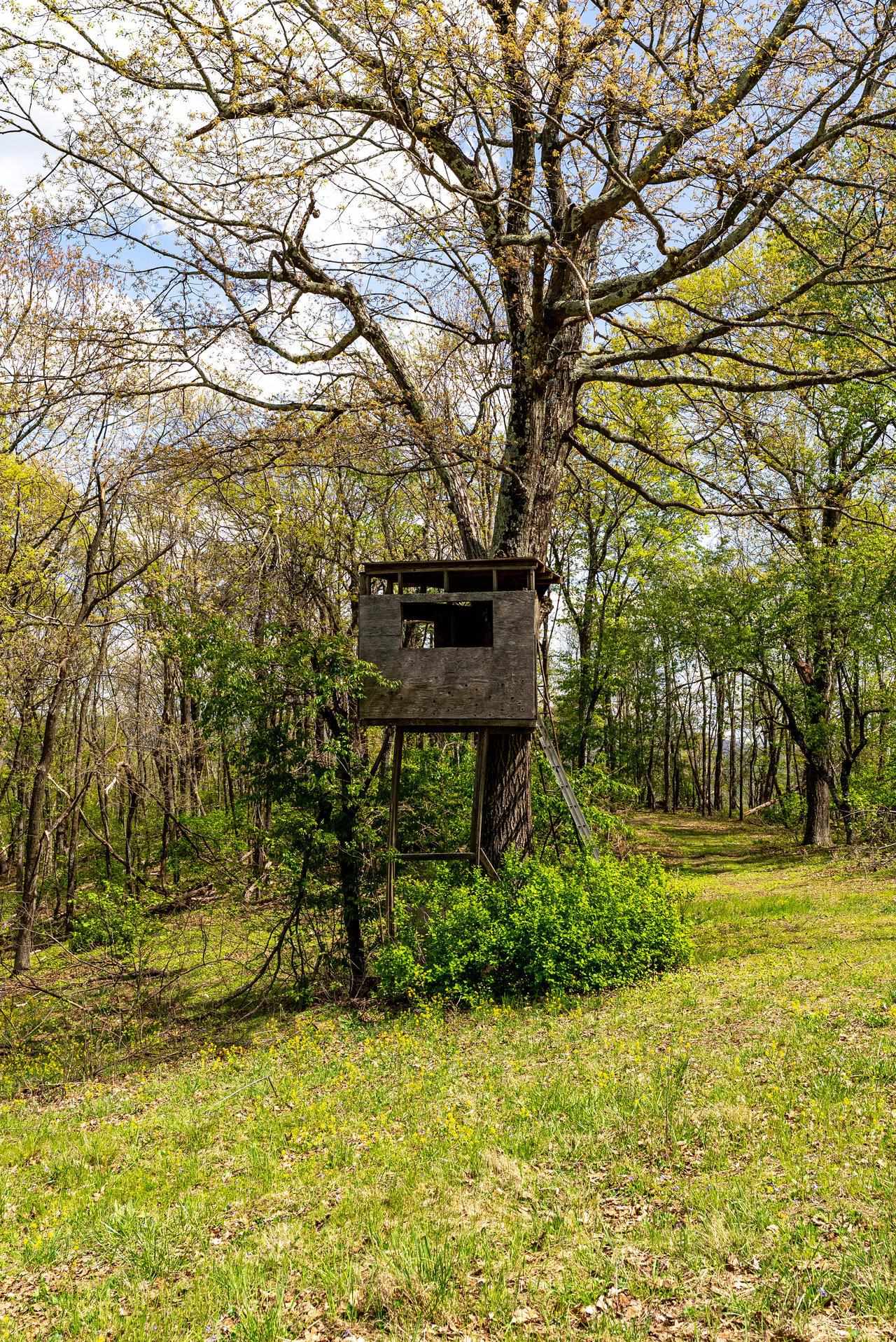 1 Cubbage Hollow Road Stanley, VA 22851 - Photo 45 of 48 Gallery Image 45