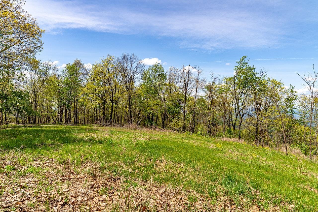 1 Cubbage Hollow Road Stanley, VA 22851 - Photo 46 of 48 Gallery Image 46