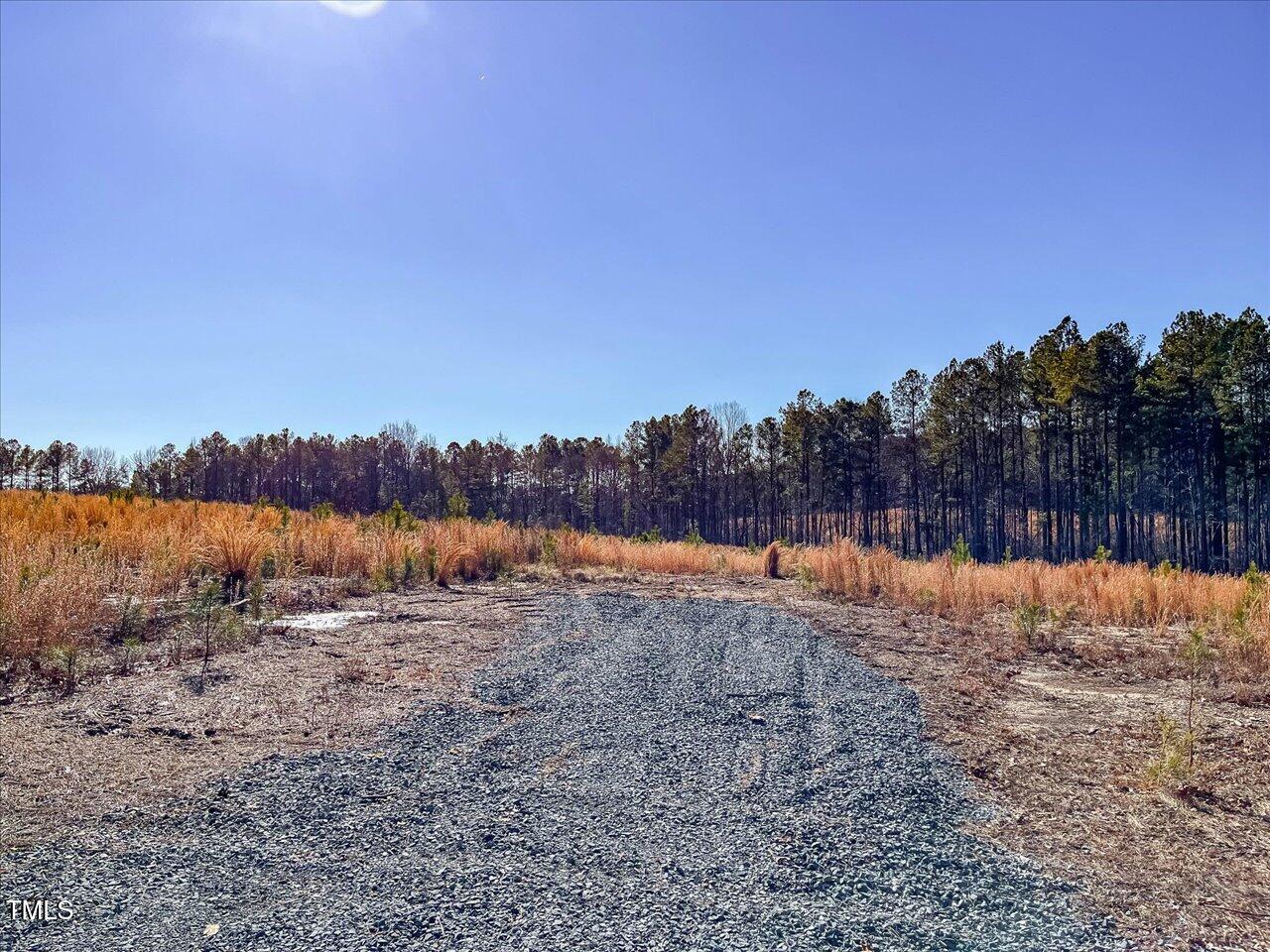 3 Robedo Rd Mount Mount Gilead, NC 27306 - Photo 13 of 24 17-017-Tract3-RobedoRd-MontgomeryCounty-