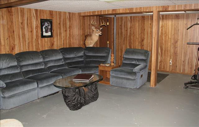 1707 Rauch Road Temperance, MI 48182 - Photo 19 of 20 basement