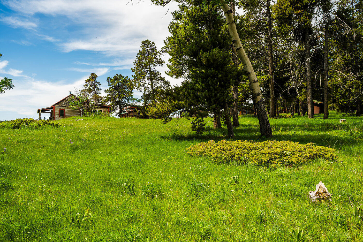 Hazelton Road Buffalo, WY 82834 - Photo 68 of 79 068_dsc_3521_582
