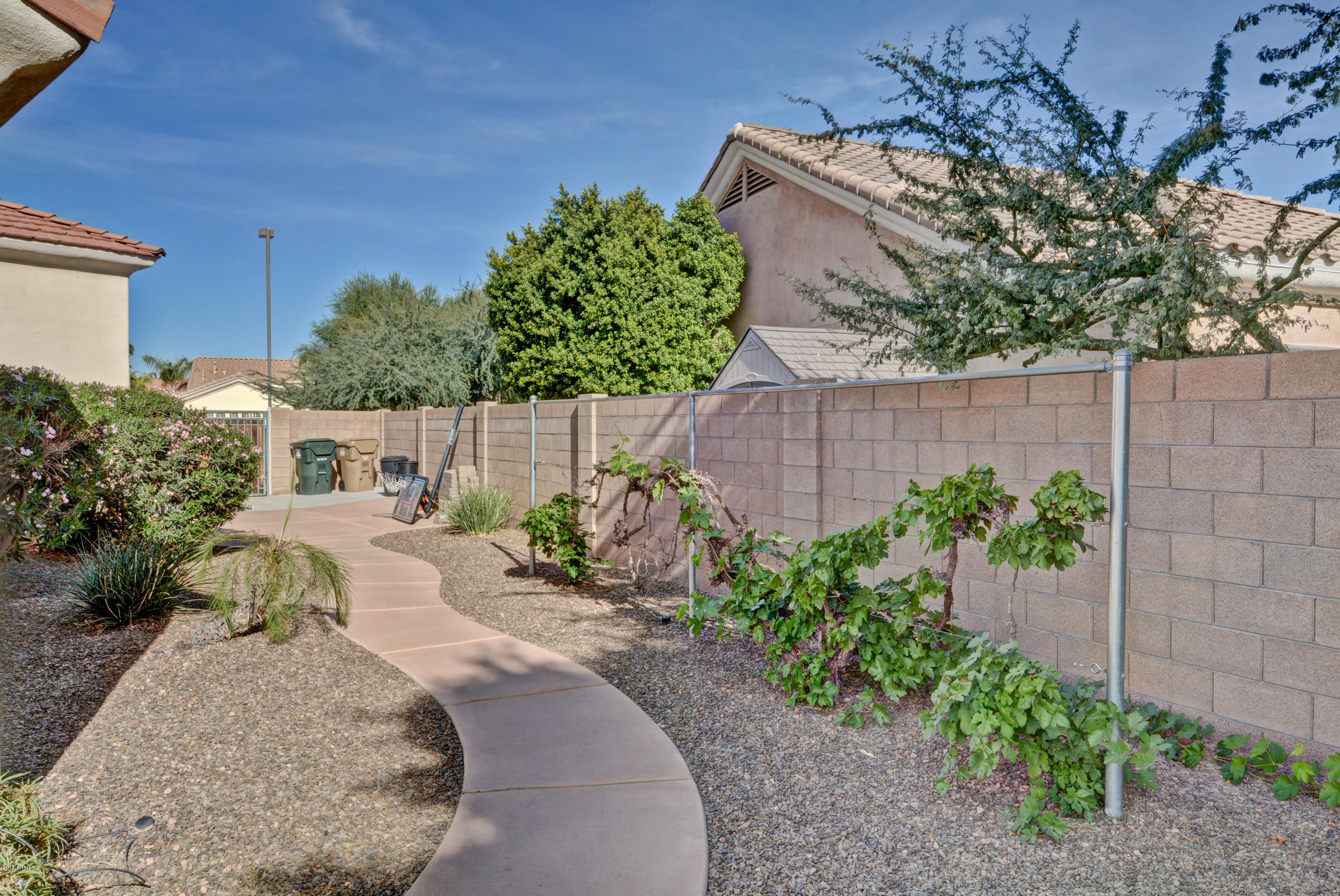 13189 West Granada Road Goodyear, AZ 85395 - Photo 28 of 55 Granada (42)