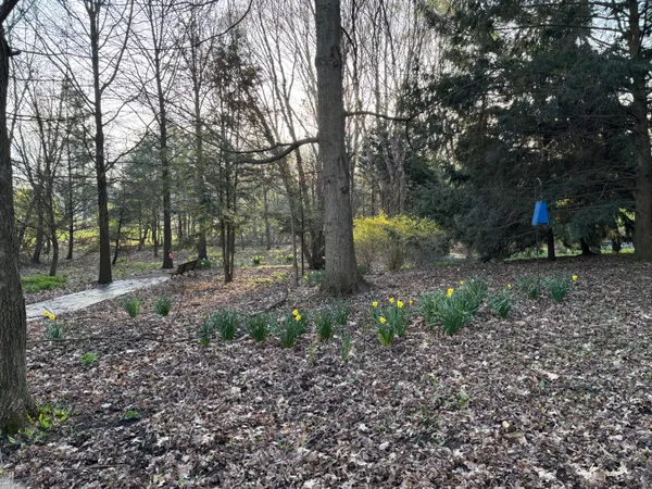 $450,000 | 10816 East X Y Avenue, Mendon, MI 49072